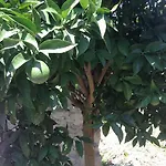 Πανσιόν Eco Garten *