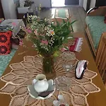 Eco Garten Σκόδρα