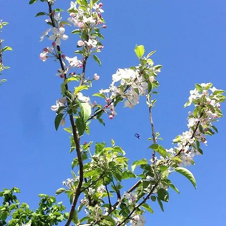 بيت ضيافة Eco Garten *