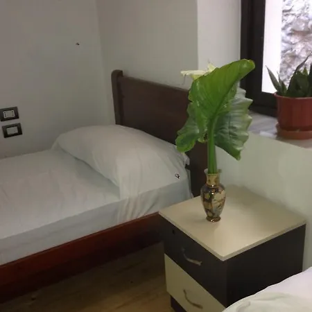 Eco Garten Pensionat Shkodër