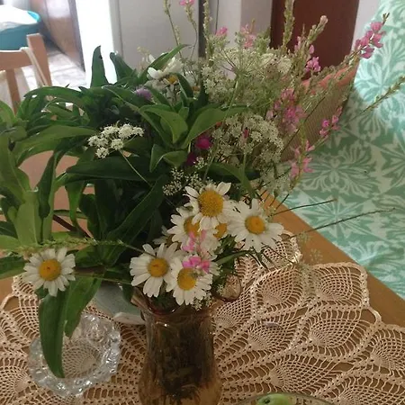 Eco Garten