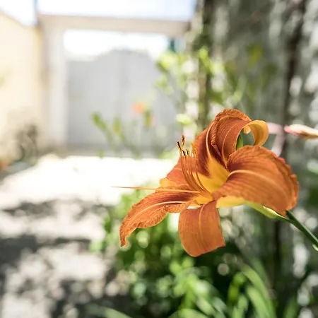 Eco Garten Pensionat
