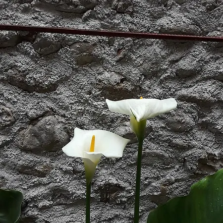Eco Garten Affittacamere