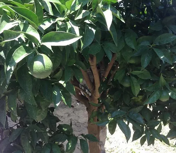 招待所 Eco Garten *