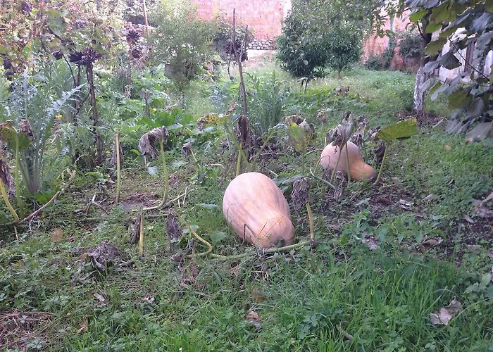 招待所 Eco Garten Shkodër