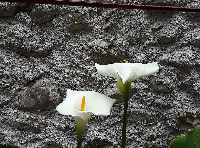 Eco Garten 招待所