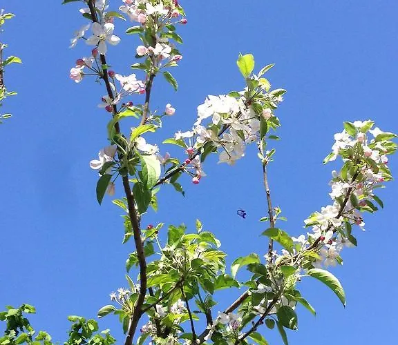 بيت ضيافة Eco Garten *