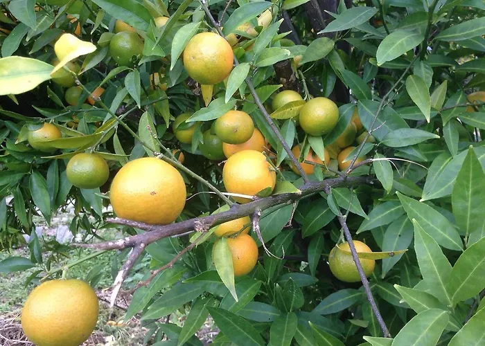 Penzion Eco Garten *